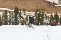 961432.jpeg 961432.jpeg