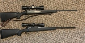 961998.jpeg 961998.jpeg