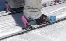 962184.jpeg 962184.jpeg