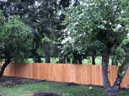 963448.jpeg 963448.jpeg