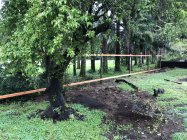 963449.jpeg 963449.jpeg