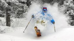 964667.jpeg 964667.jpeg