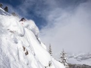 971691.jpeg 971691.jpeg