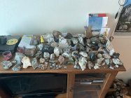 972572.jpeg 972572.jpeg