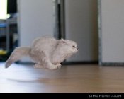 975541.jpeg 975541.jpeg