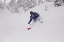 Contour Goggle
