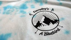 977364.jpeg 977364.jpeg