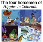 977648.jpeg 977648.jpeg