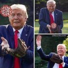 978159.jpeg 978159.jpeg