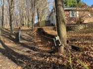 979747.jpeg 979747.jpeg