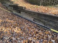 979753.jpeg 979753.jpeg