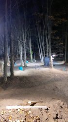 979754.jpeg 979754.jpeg