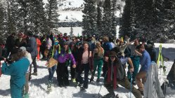 Where To Ski Bum at Alta: A pros and cons of where to work at the worst ski resort in the nation