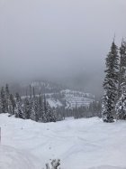 989024.jpeg 989024.jpeg