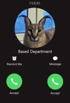 990141.jpeg 990141.jpeg