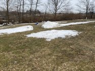 995069.jpeg 995069.jpeg