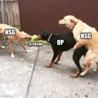 996140.jpeg 996140.jpeg