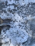 998925.jpeg 998925.jpeg