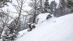 In-Depth Review: 2021 Moment Meridian 107 - The Roofbox