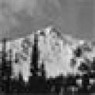 Crystal-needs-a-park