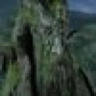 treebeard