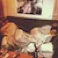 .catierob