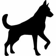 Karkoskier