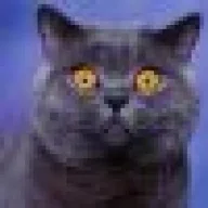 Spicy.Cat