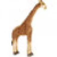 silent_giraffe