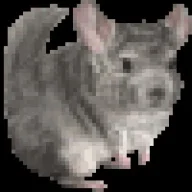 Chinchi