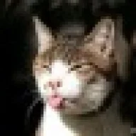 CashmereCat
