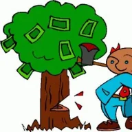 Deforestation