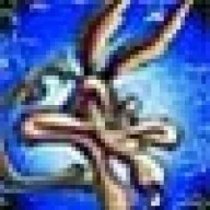thecoyote