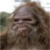 RoidedSasquatch