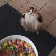 c0ntentcreat0r