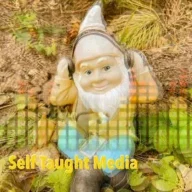 selftaughtmedia