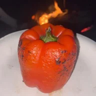 stickacorkinit
