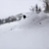 ReedSkis~