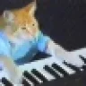 meowshred