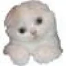MeowMuffin