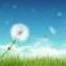 Imagination