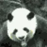 Panda_with_Guns