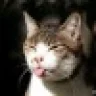CashmereCat