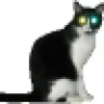 ski.cats