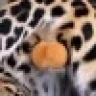 gnarballsianm