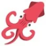 supersquid