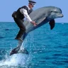 Swandog7