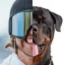 CharlzHub