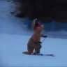 ColoradoDogfart