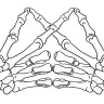 MUTEDLTD.